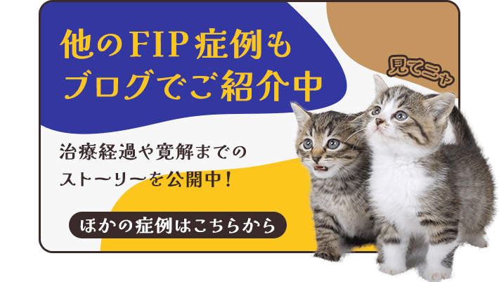 他のFIP症例もブログでご紹介中